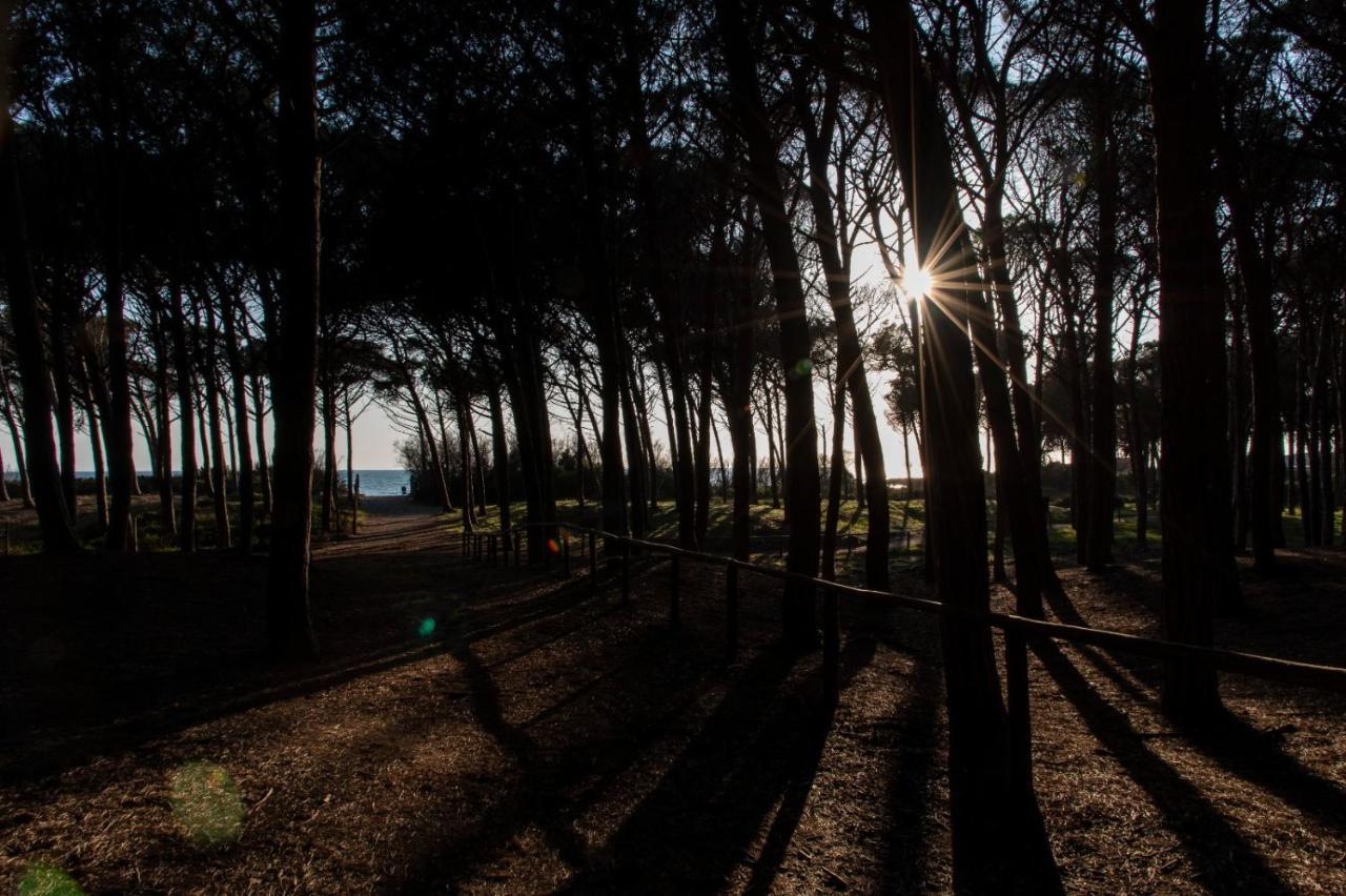 Appartamento Il Bucaniere A Marina Di Cecina Exterior photo